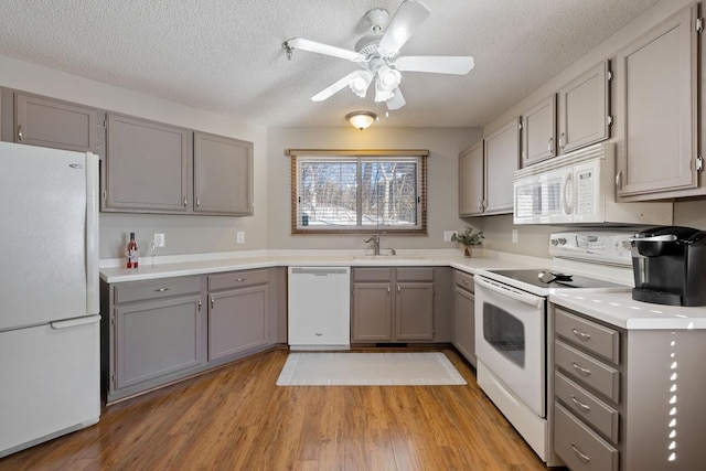 kitchen featuring light countertops, gray cabinetry, a sink, light wood-type flooring, and white appliances