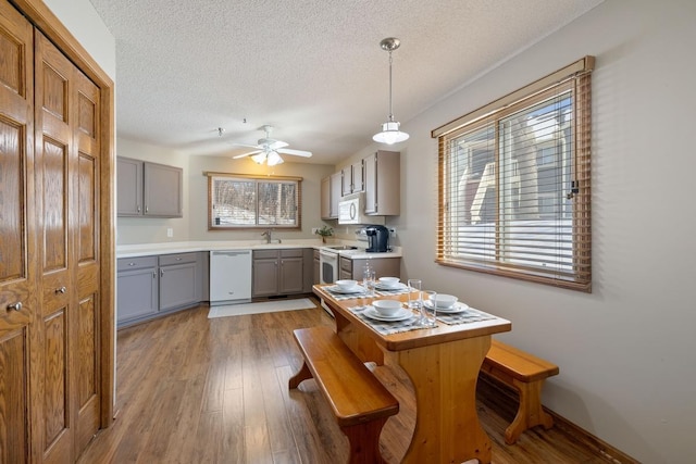 kitchen with white appliances, wood finished floors, light countertops, gray cabinets, and decorative light fixtures