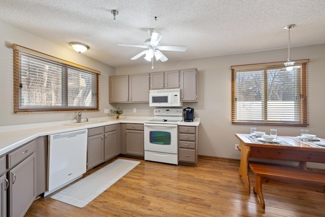 kitchen with pendant lighting, light wood finished floors, light countertops, a sink, and white appliances