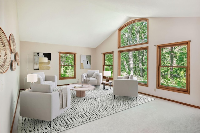 carpeted living room with high vaulted ceiling