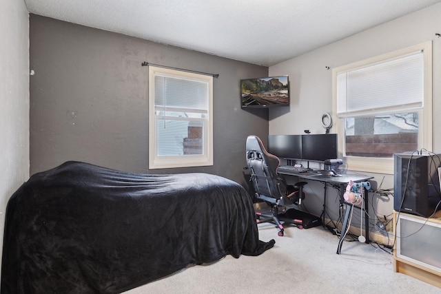 carpeted bedroom with multiple windows