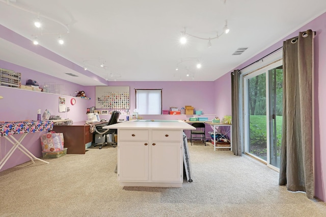 office space with plenty of natural light, light colored carpet, and rail lighting