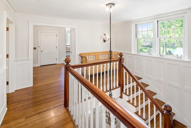 stairs with crown molding and hardwood / wood-style flooring