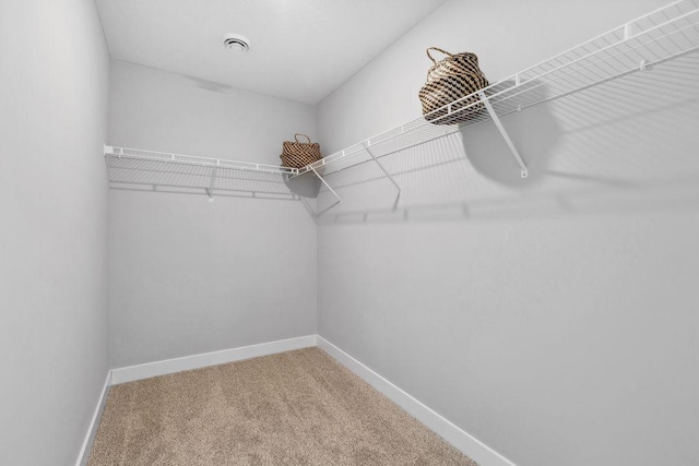 13651 Kaylemore Trl, Rosemount, MN 55068 - spacious closet with carpet