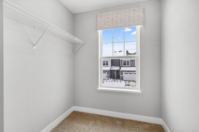 13651 Kaylemore Trl, Rosemount, MN 55068 - spacious closet featuring carpet