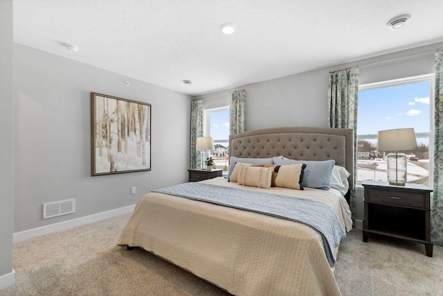13651 Kaylemore Trl, Rosemount, MN 55068 - bedroom featuring light carpet and baseboards