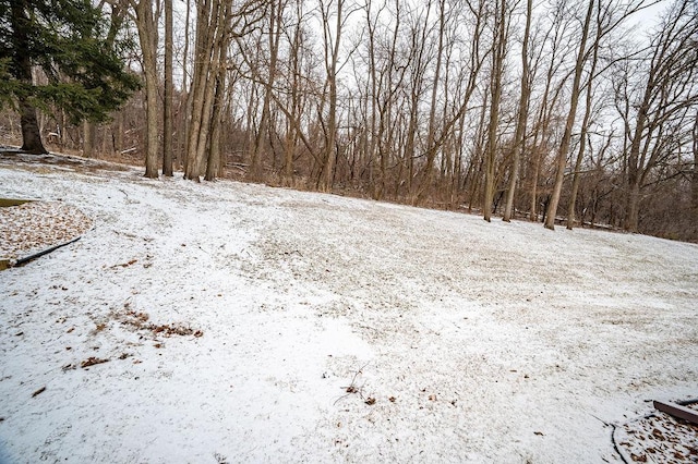 view of snowy view