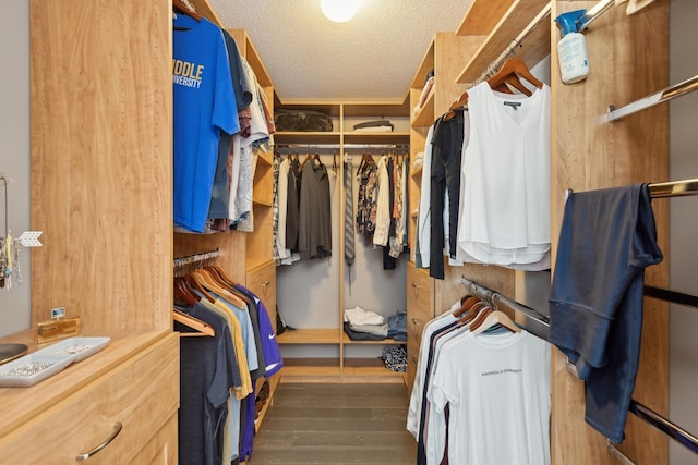 spacious closet featuring dark hardwood / wood-style floors