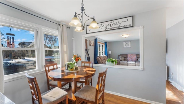 dining space with hardwood / wood-style flooring, radiator, and a notable chandelier