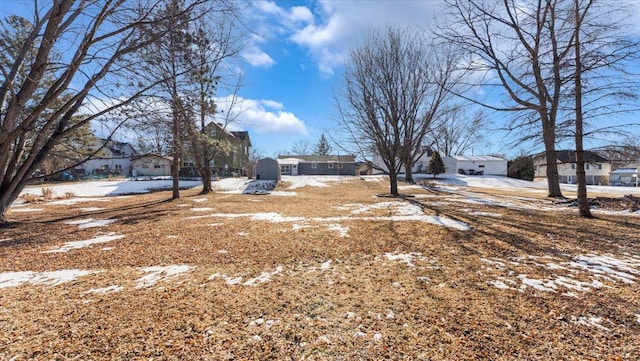 view of snowy yard