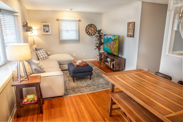 living room with wood-type flooring