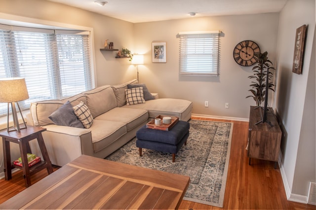 living room featuring hardwood / wood-style flooring