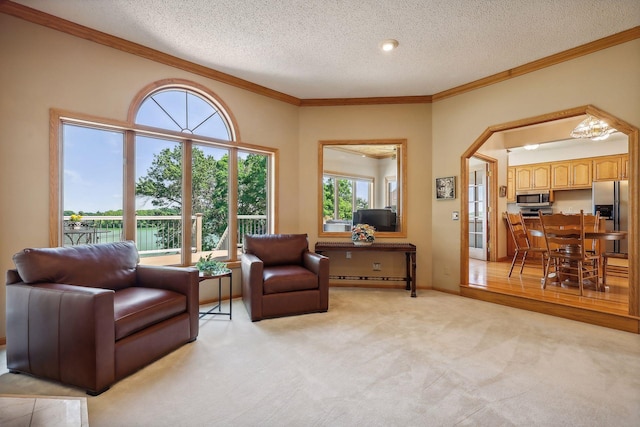 sitting room with crown molding, a healthy amount of sunlight, light carpet, and a textured ceiling