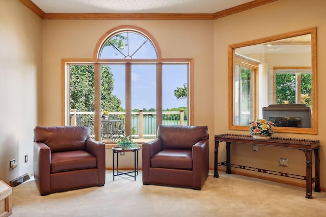 living area with light colored carpet, ornamental molding, and a wealth of natural light