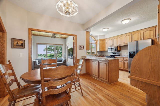 kitchen featuring light hardwood / wood-style flooring, stainless steel appliances, kitchen peninsula, and a healthy amount of sunlight