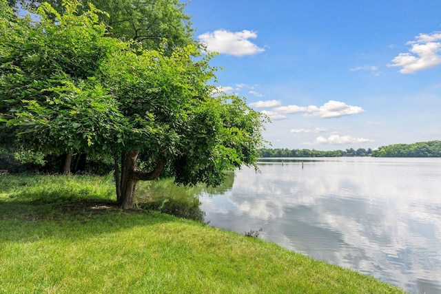 property view of water