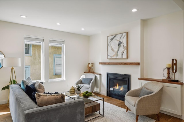 living room featuring wood-type flooring