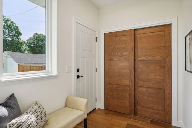 interior space featuring wood-type flooring