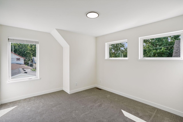 bonus room with carpet flooring