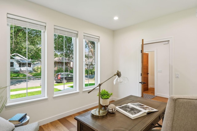 home office featuring wood-type flooring