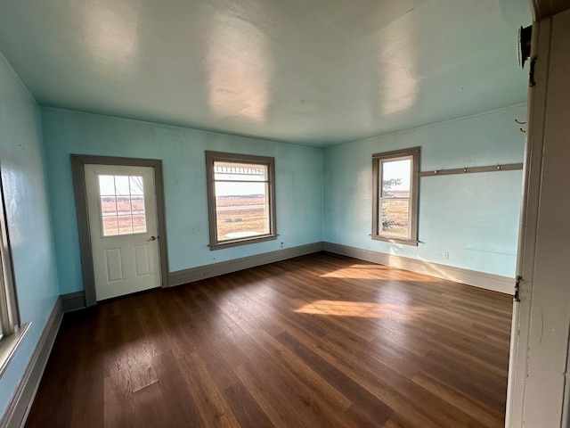 foyer entrance featuring dark hardwood / wood-style flooring and a wealth of natural light