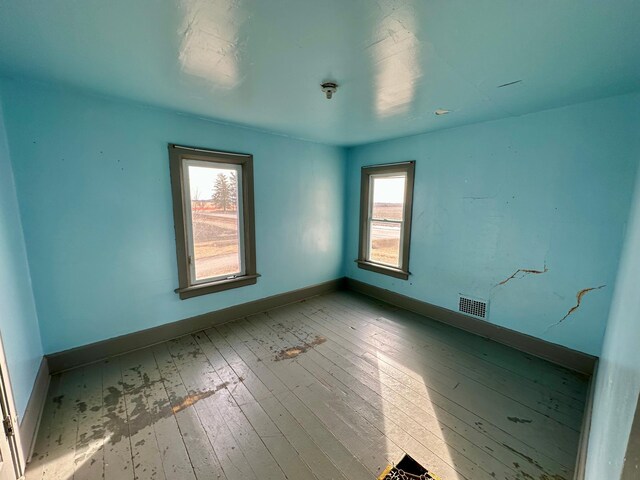 18426 County Road 18, Lewiston, MN 55952 - spare room with wood-type flooring, healthy amount of natural light, and baseboards