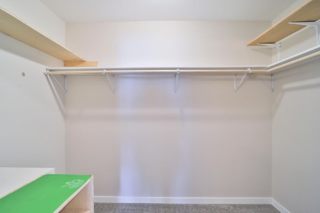 walk in closet with carpet floors