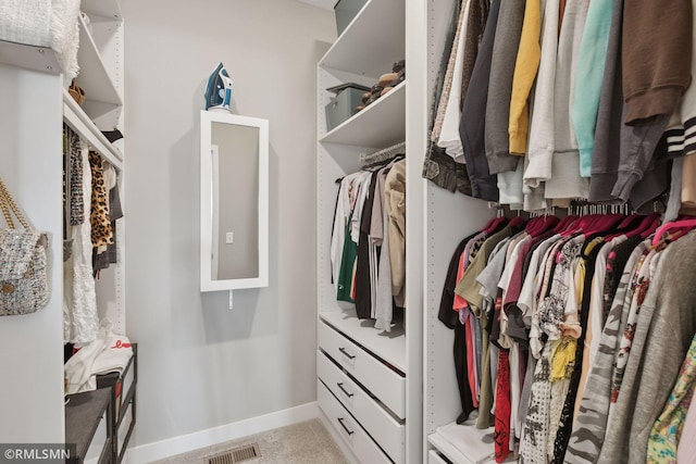 view of walk in closet