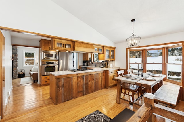 kitchen with appliances with stainless steel finishes, pendant lighting, a chandelier, light hardwood / wood-style floors, and kitchen peninsula