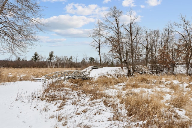 view of snowy landscape