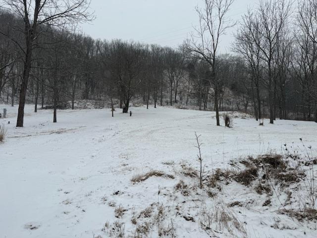 view of yard covered in snow