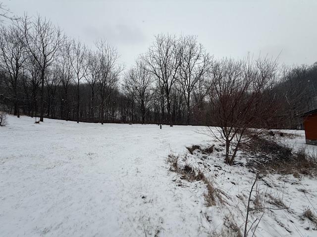 view of snowy yard