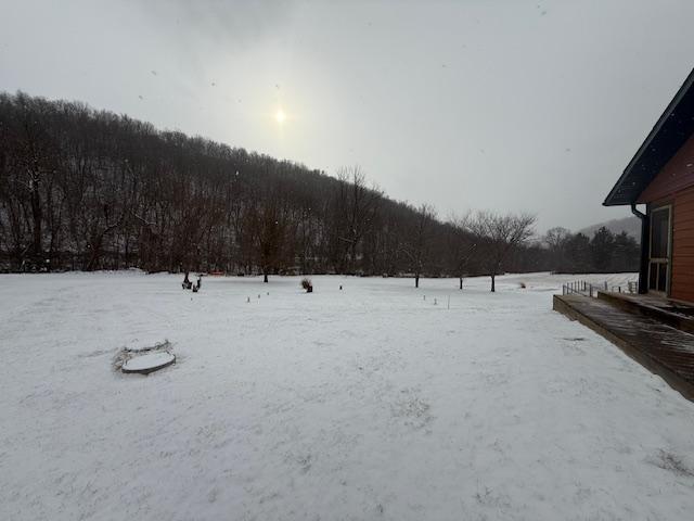 view of snowy yard