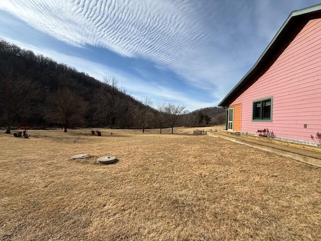 view of yard featuring a mountain view