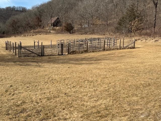 view of yard with a rural view