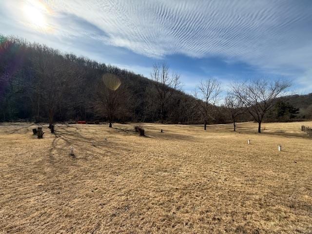 view of yard featuring a rural view