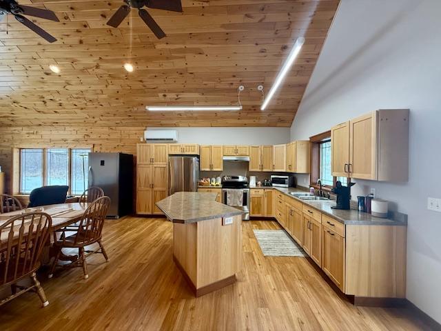 E2614 Bohland Hollow Rd, Wheatland Twp, WI 54624 - kitchen with stainless steel appliances, ceiling fan, high vaulted ceiling, a sink, and under cabinet range hood