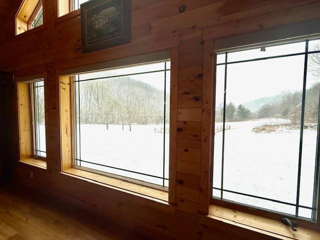 E2614 Bohland Hollow Rd, Wheatland Twp, WI 54624 - doorway featuring plenty of natural light, wood walls, and wood finished floors