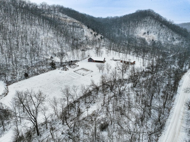 E2614 Bohland Hollow Rd, Wheatland Twp, WI 54624 - view of mountain background