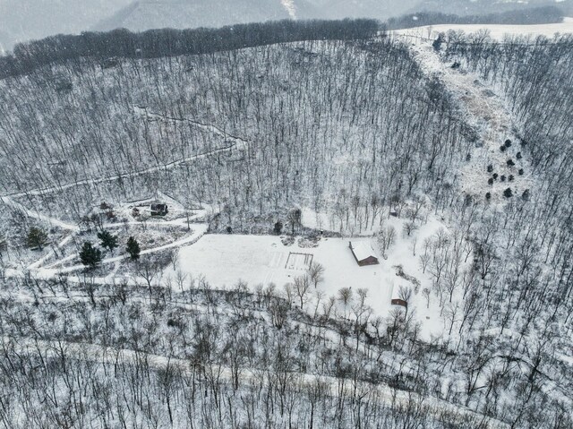 E2614 Bohland Hollow Rd, Wheatland Twp, WI 54624 - view of snowy aerial view