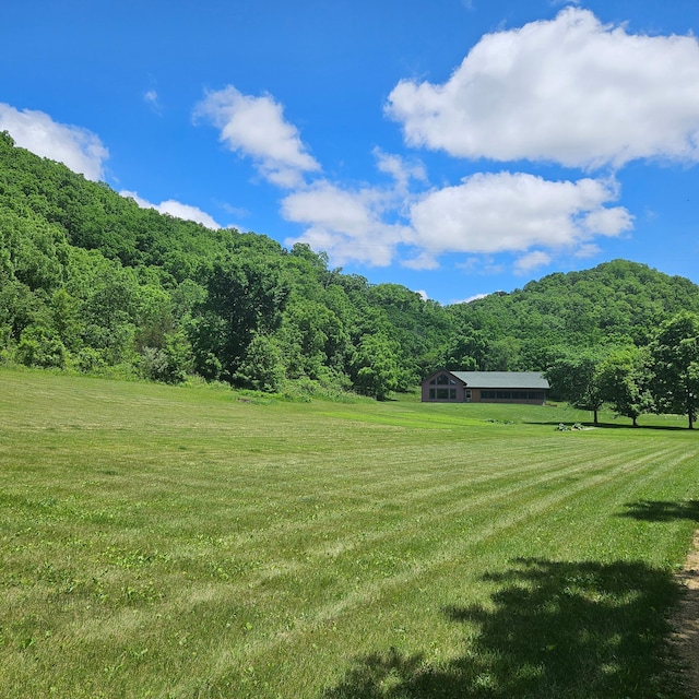 E2614 Bohland Hollow Rd, Wheatland Twp, WI 54624 - view of grassy yard with a view of trees and a view of rural / pastoral area