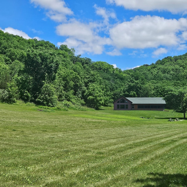 E2614 Bohland Hollow Rd, Wheatland Twp, WI 54624 - view of green lawn with a forest view and a view of rural / pastoral area