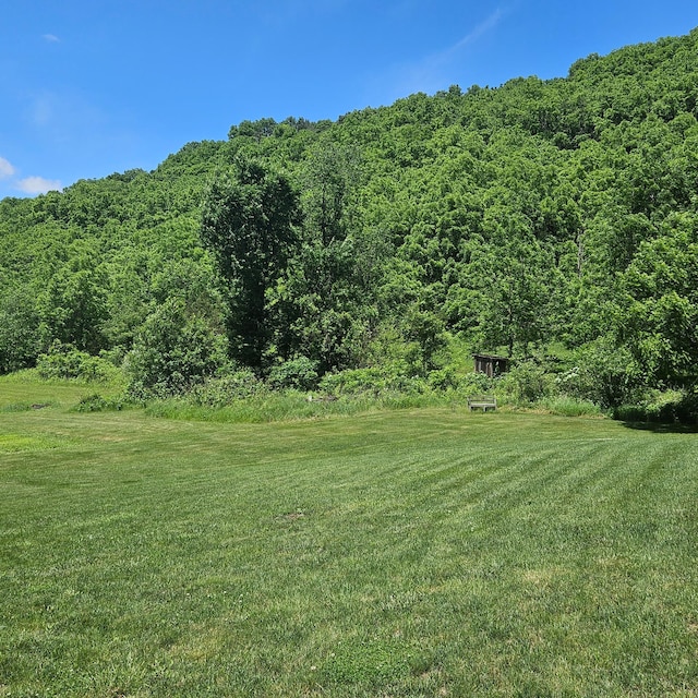 E2614 Bohland Hollow Rd, Wheatland Twp, WI 54624 - view of grassy yard with a forest view