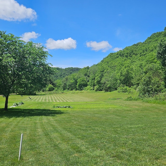 E2614 Bohland Hollow Rd, Wheatland Twp, WI 54624 - view of property's community with a lawn, a wooded view, and a view of countryside
