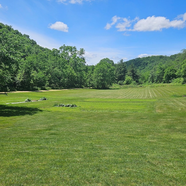 E2614 Bohland Hollow Rd, Wheatland Twp, WI 54624 - view of green lawn