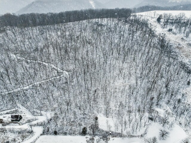 E2614 Bohland Hollow Rd, Wheatland Twp, WI 54624 - view of snowy aerial view
