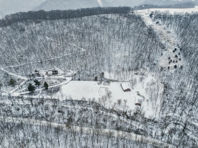 E2614 Bohland Hollow Rd, Wheatland Twp, WI 54624 - view of snowy aerial view