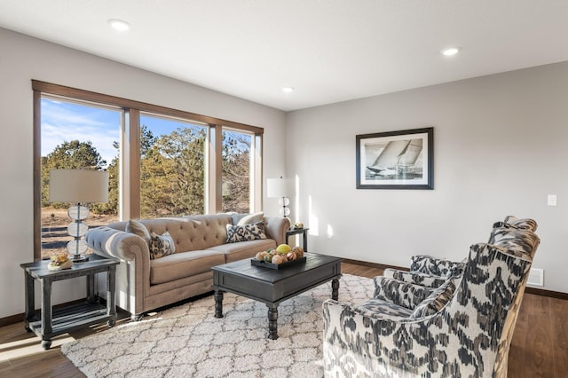 living room featuring dark wood-type flooring