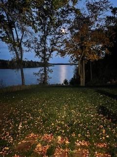 17813 Disse Rd, Erie Twp, MN 56501 - view of grassy yard featuring a water view
