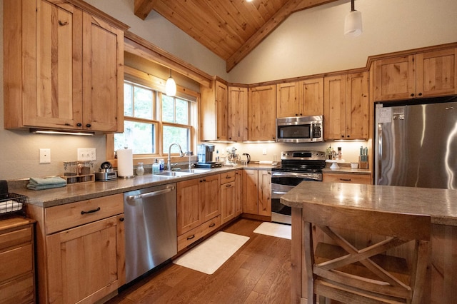 kitchen featuring dark wood-type flooring, lofted ceiling, sink, decorative light fixtures, and stainless steel appliances